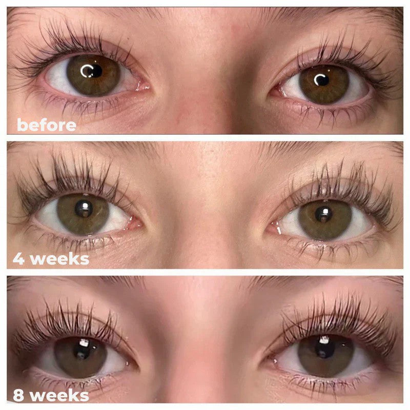 Camellia Seed Oil Eyebrow Growth Serum for Fuller, Thicker, and Longer Eyebrows - Anti-Hair Loss Treatment